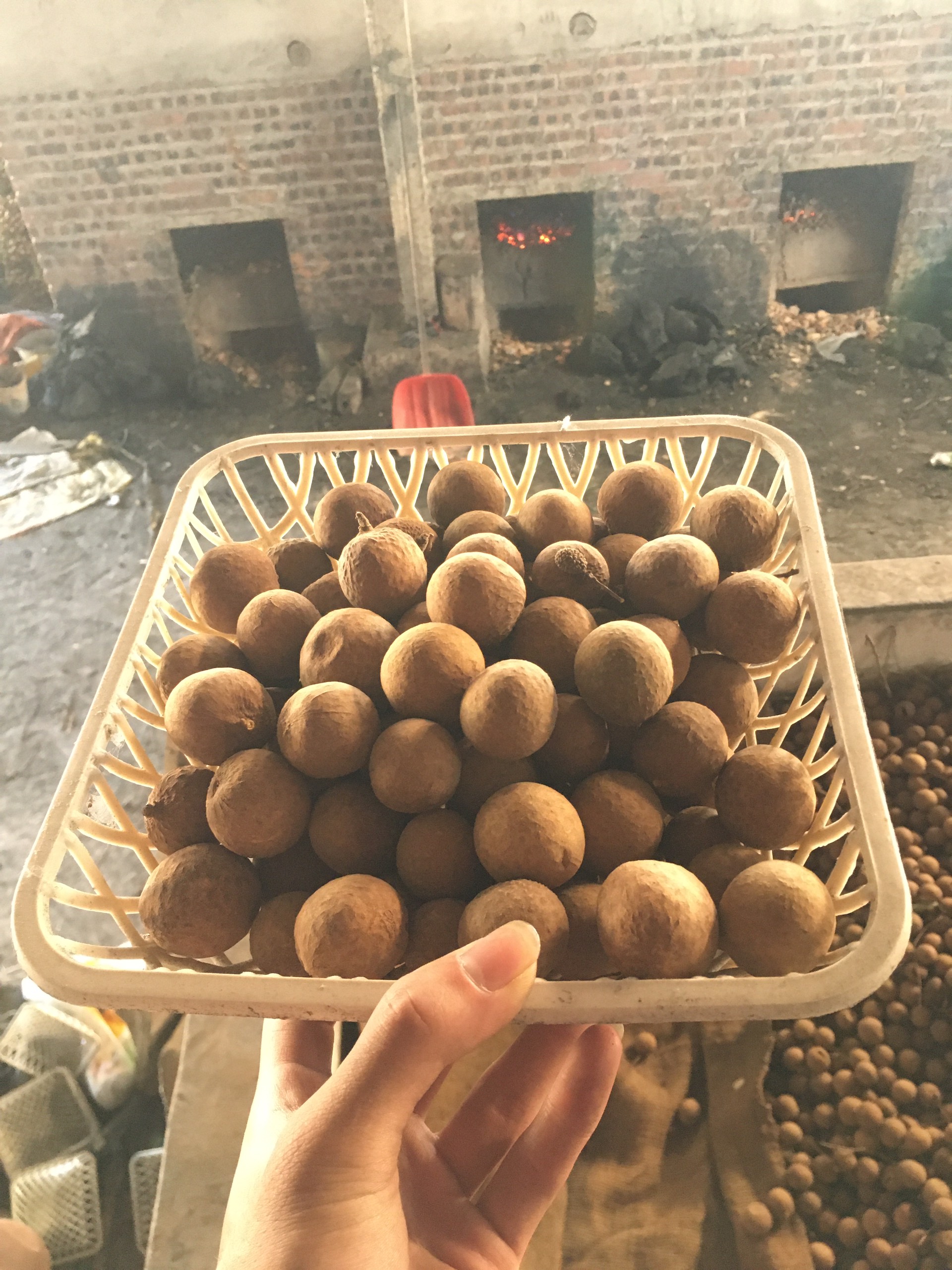 CB 1KG Nhãn Sấy Khô Siêu Ngon ( Sỉ, Lẻ )