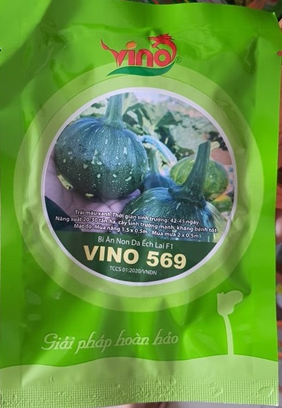 Hạt Giống Bí Ăn Non Da Ếch Vino 569 (Gói 100 Hạt)