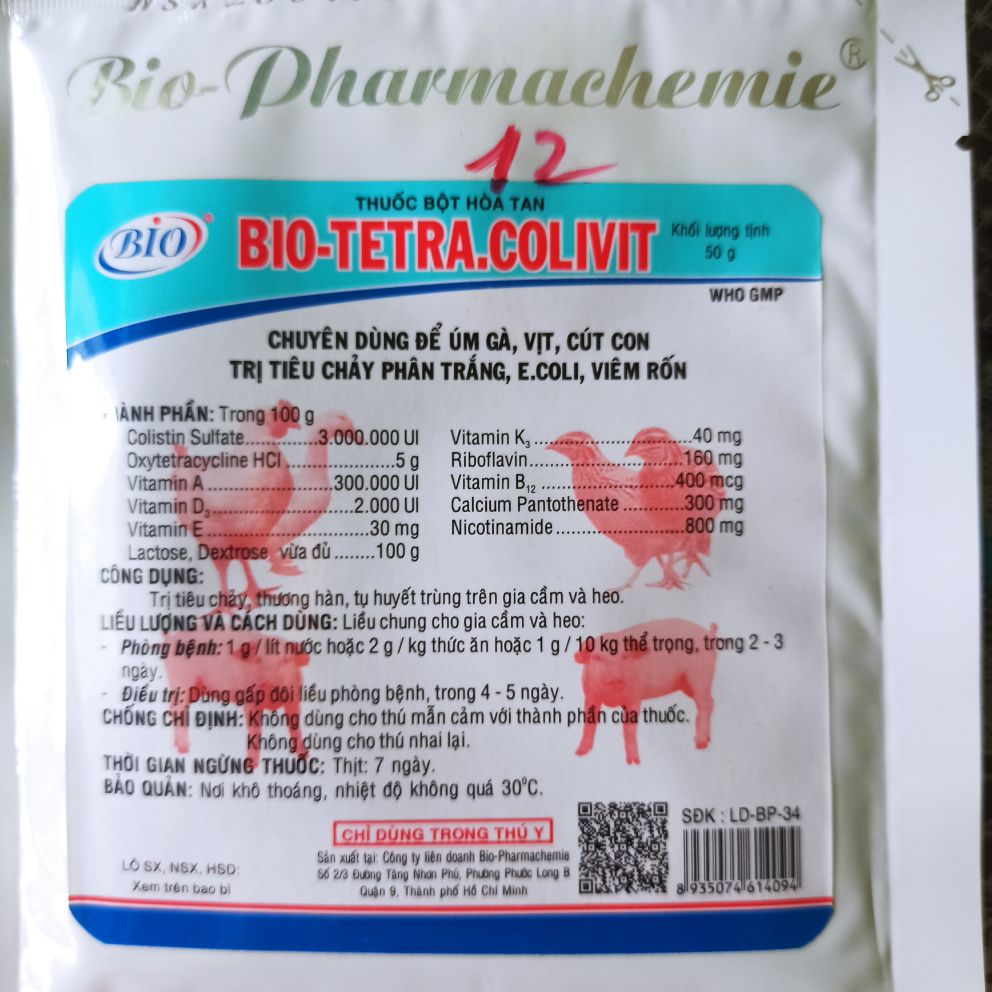 Úm Gà Vịt