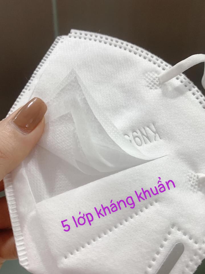 [HÀNG CHÍNH HÃNG ] KHẨU TRANG Y TẾ N95 PROMASK THỊNH LONG