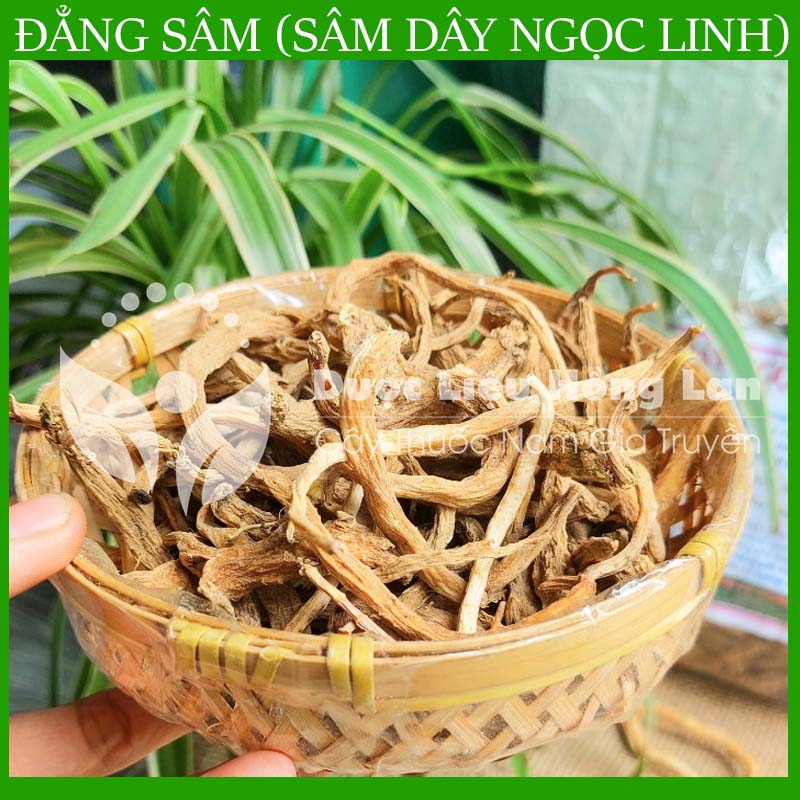 ✅ 100g đẳng sâm sấy khô