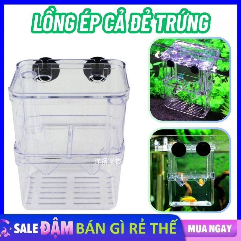Lồng đẻ cho cá bảy màu chất liệu mica / lồng ép cá đẻ, tách cá bệnh, dưỡng cá nhỏ gọn, dễ sử dụng / khay ép cá đẻ trứng / lồng ấp cá bảy màu