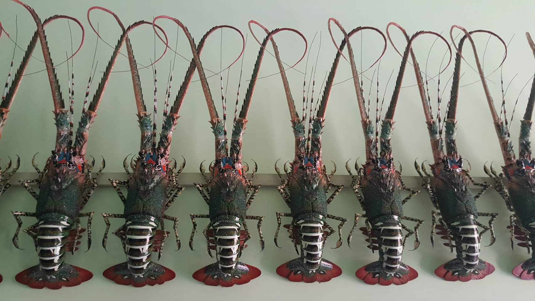 TÔM HÙM TRE MỸ NGHỆ