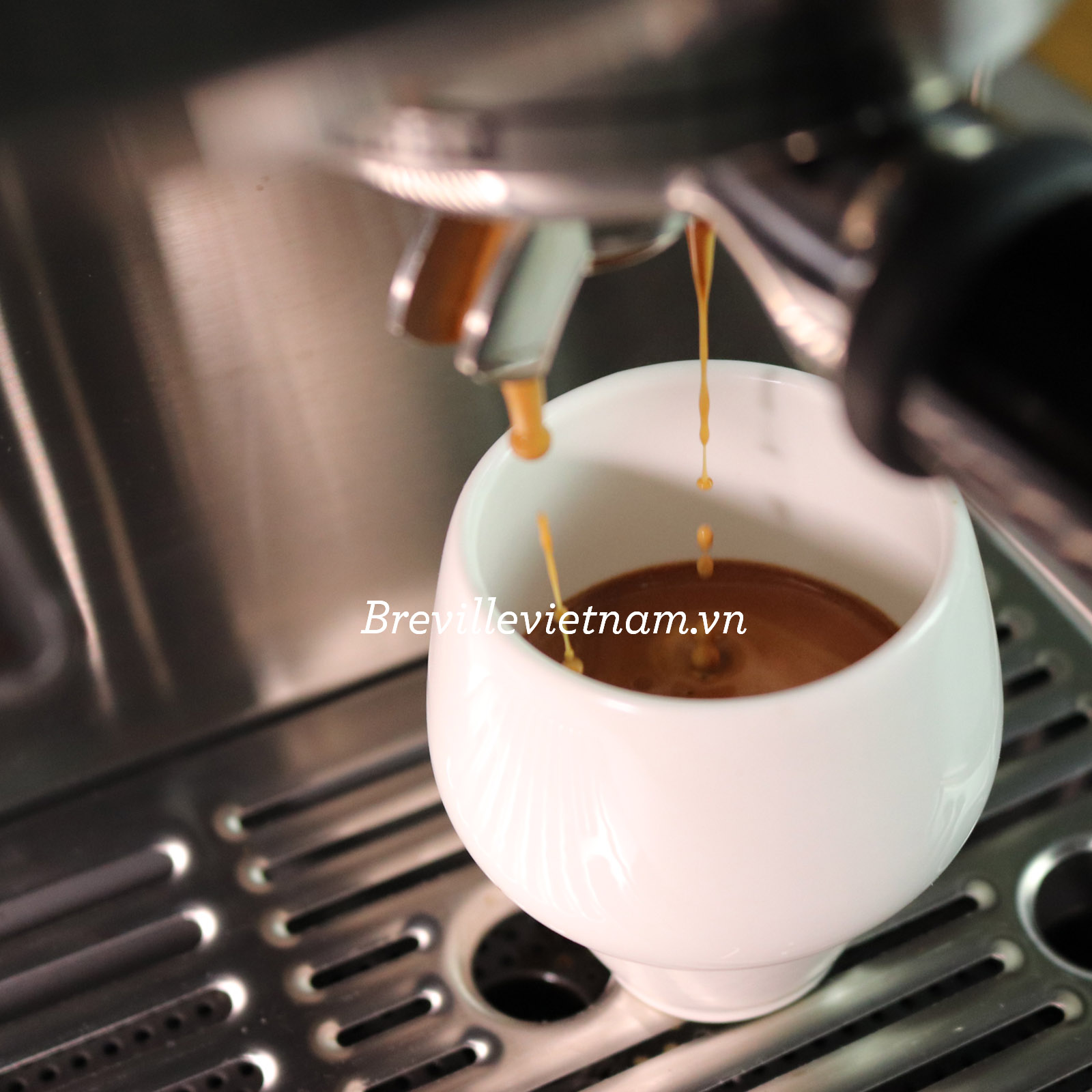 Máy pha cà phê Breville the Barista Express - BES 870