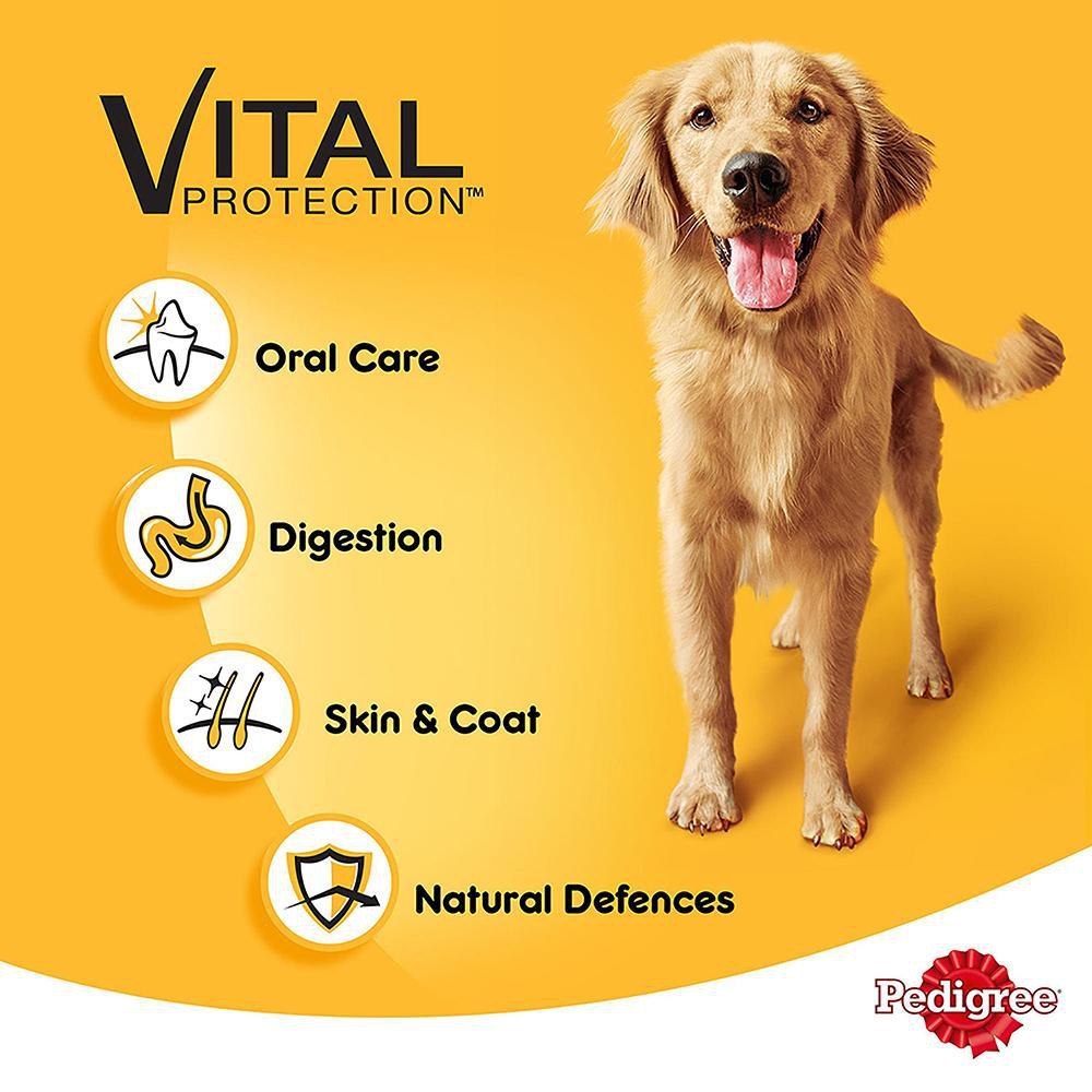 Hạt Pedigree Cho Chó Trưởng Thành