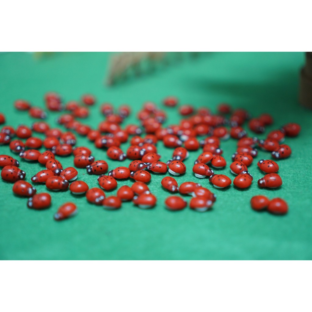 [HCM]Mô Hình Bọ Dừa Ladybug Trang Trí Tiểu Cảnh Miniature [1 cái ]