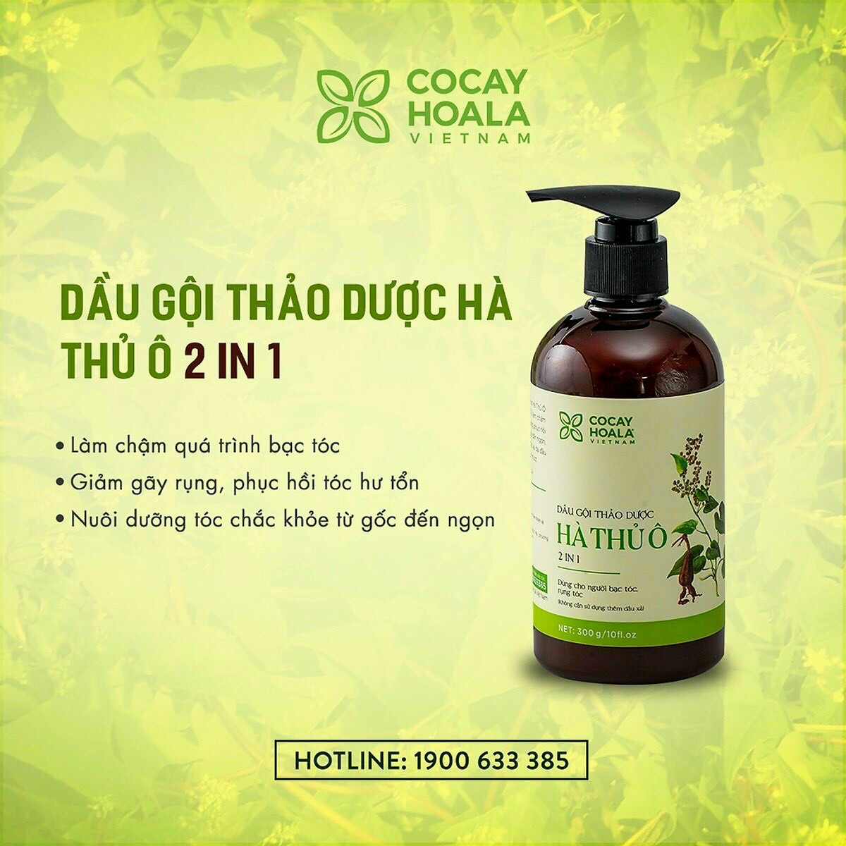 [Cocayhoala] Dầu Gội Hà Thủ Ô Ngăn Rụng Tóc Hiệu Quả