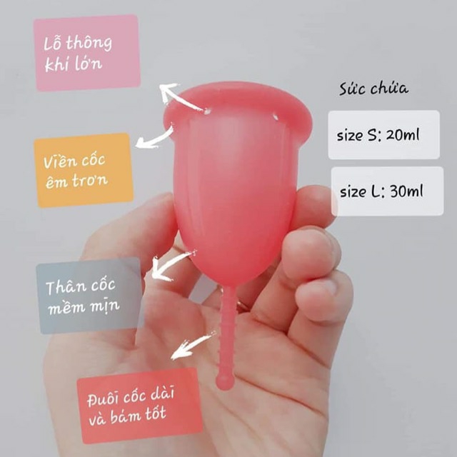 (Giá Hủy Diệt) Cốc Nguyệt San Sibell Cup Size L (Tặng Kèm Quà Hấp Dẫn)