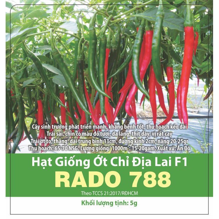 Giống ớt chỉ địa lai F1