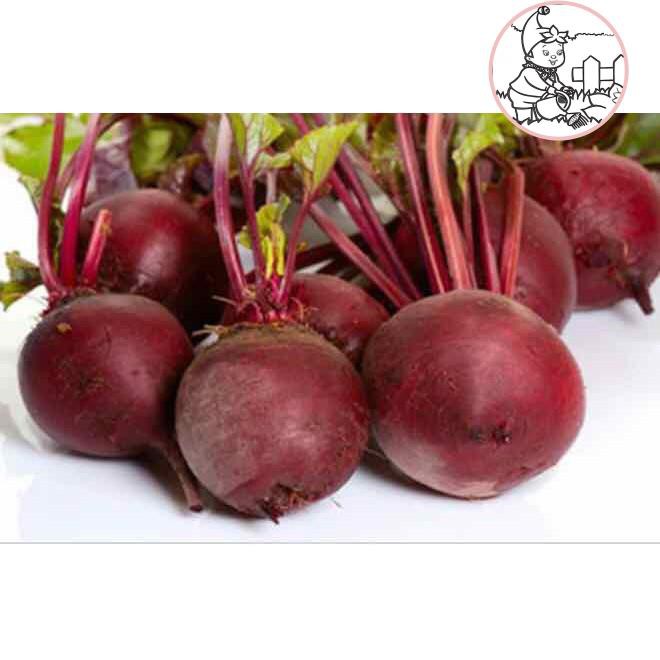 HẠT CỦ DỀN - GÓI 5 GRAM
