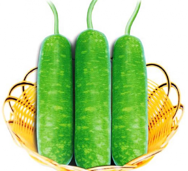 Hạt giống Bầu sao Trang Nông - 10 Hạt