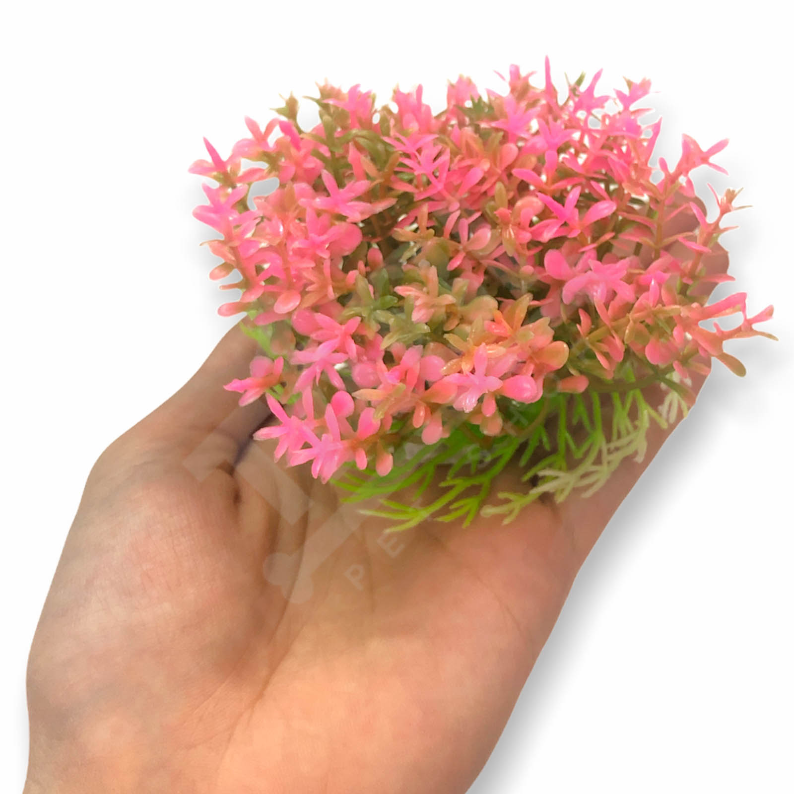 Cây Nhựa Mô Hình Trang Trí Hồ Cá SIZE MINI [CÂY TRÒN MINI]