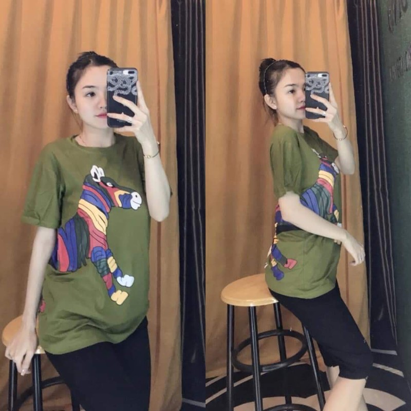 Set bộ cotton in ngựa cầu vòng - td25