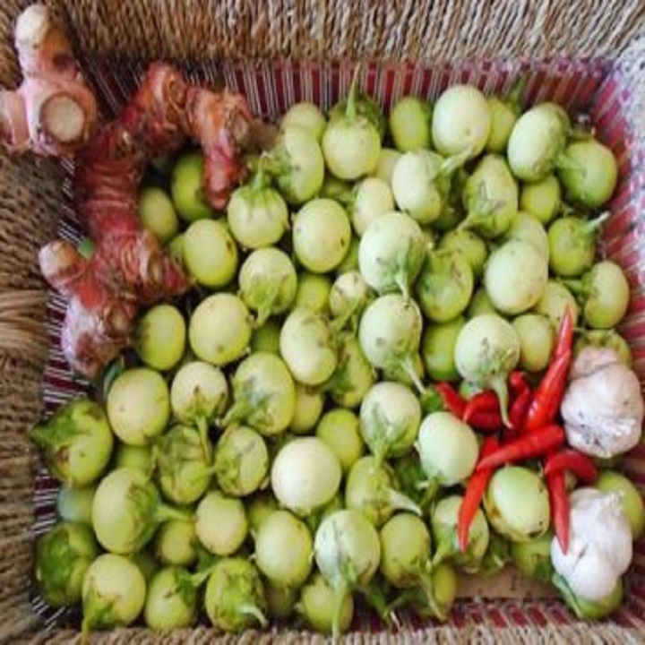 Hạt giống Cà Pháo xanh Hoàng Mai