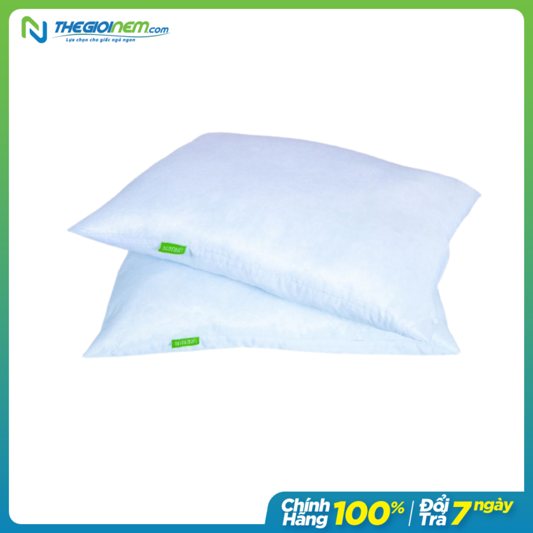 2 Ruột Gối Nằm Gòn Hơi TATANA Cao Cấp 50x70cm