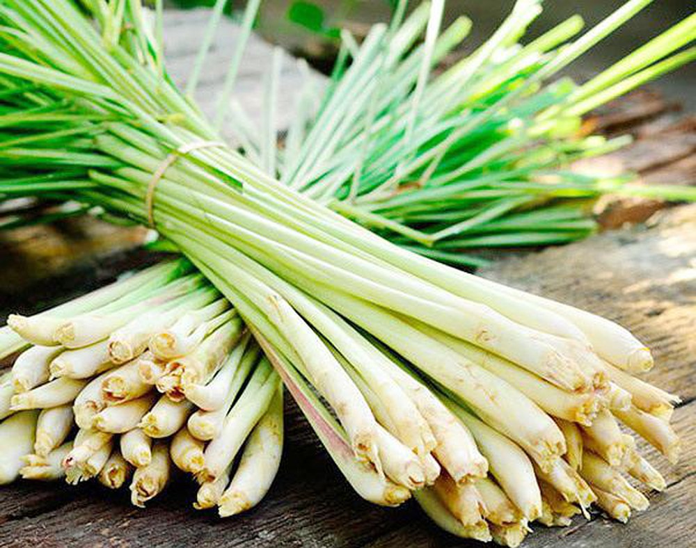 Hạt Giống Cây Sả Chanh (Gói 10 hạt) Sinh Trưởng Mạnh, Chịu Hạn, Thu Hoạch Nhiều Lần Lâu Dài