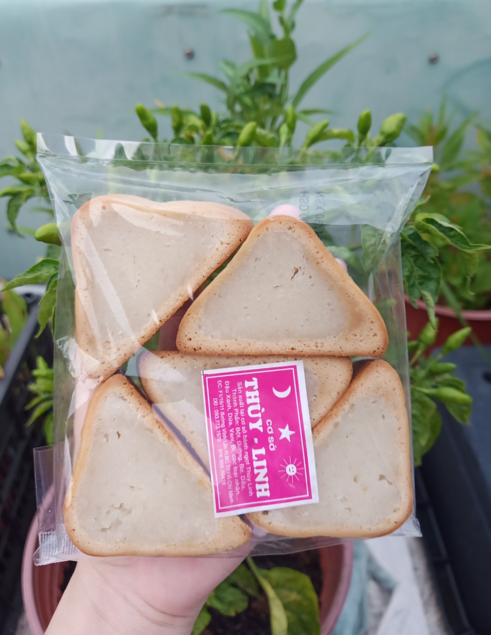 BÁNH TAM GIÁC DỪA CACAO_COMBO 5 CÂY