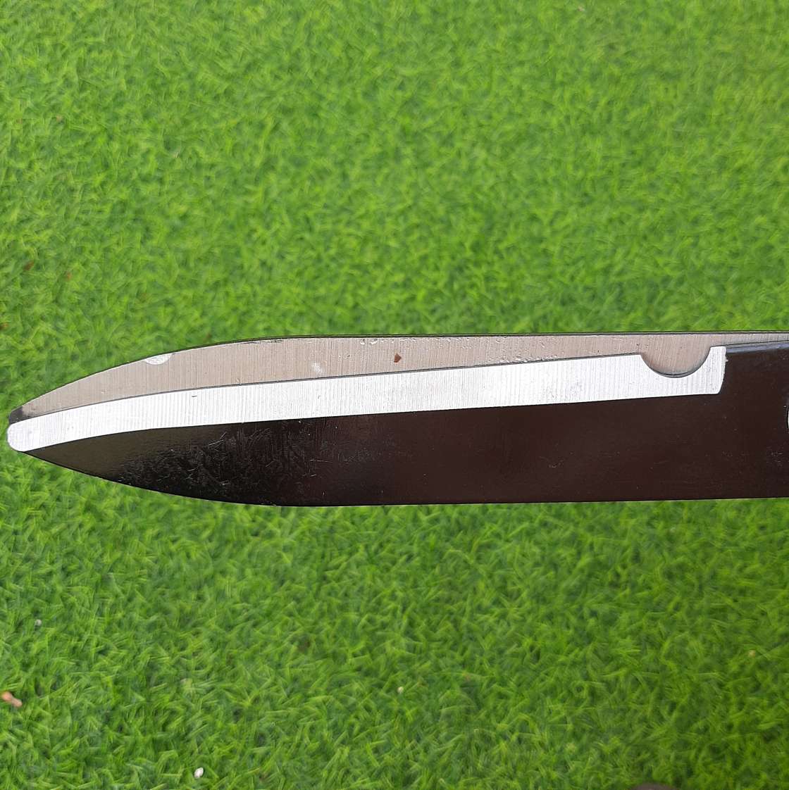 Kéo cắt cỏ hàng rào 53cm