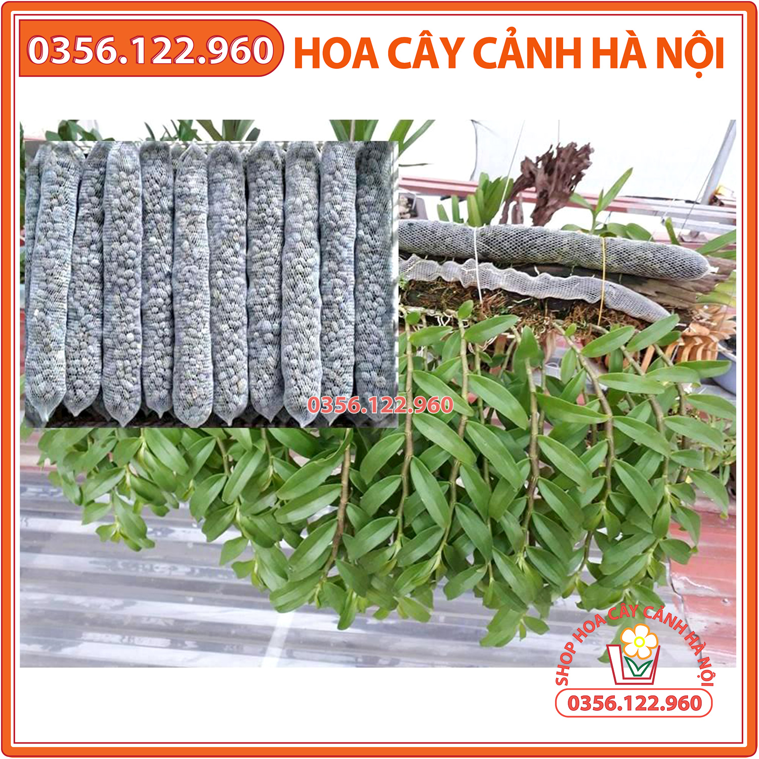 combo 10 túi lưới phân dê trồng lan dài 15 đến 20 cm đã qua xửa lý