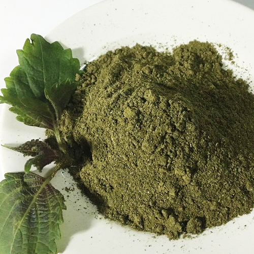Bột tía tô nguyên chất 500g