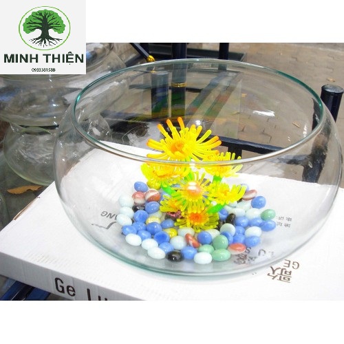 [HCM]Bể Cá Thủy Tinh  Bầu Hồ Cá D10CM x H8CM T07