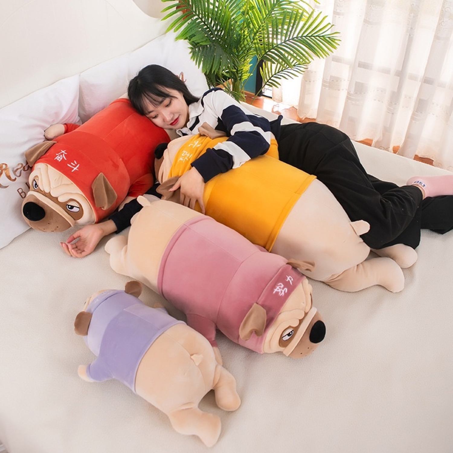 gấᴜ Bông Chó pug nằm mặc áo, Chó pull dog mặt quạo