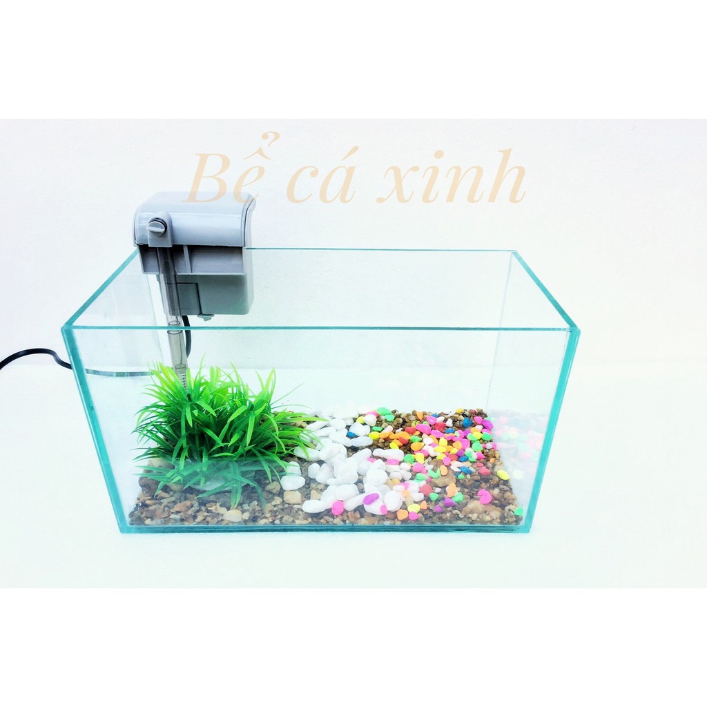 Bể cá mini 30*15*18 kèm lọc thác mini ( tặng cây và thức ăn)