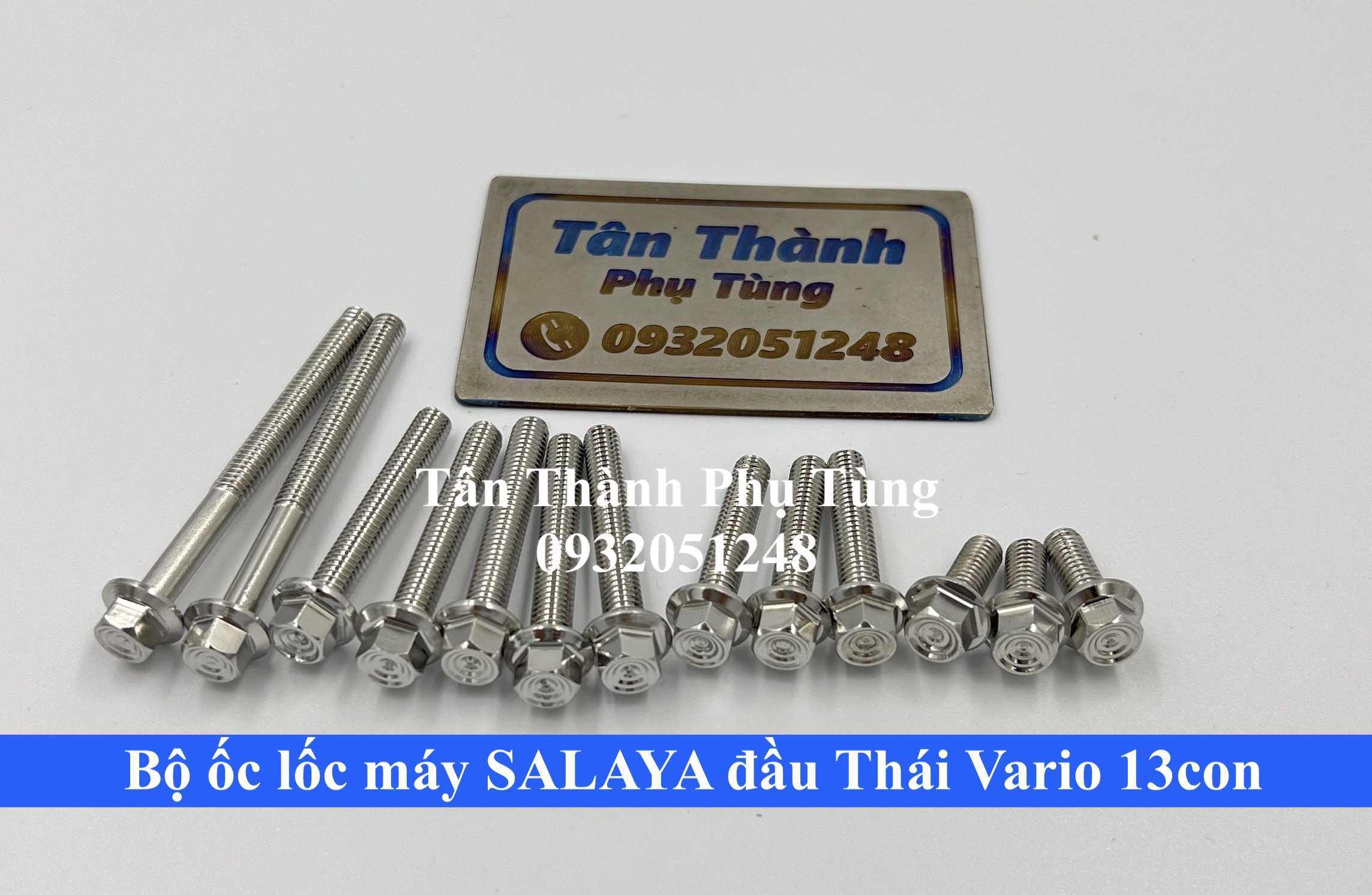 Bộ ốc lốc máy salaya đầu thái vario 13con