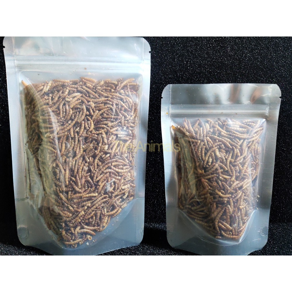 Sâu Super Worm sấy thơm cho hamster, chim, cá, nhím,... (100gram)