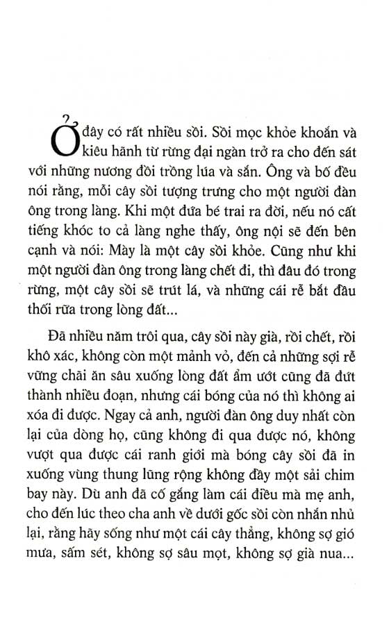 Fahasa - Bóng Của Cây Sồi