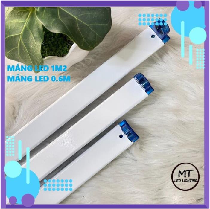 Máng đèn led đơn 6 tấc