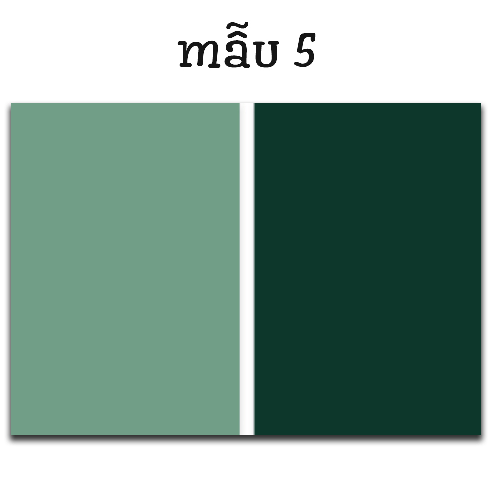 Phông nền trơn hai mặt đạo chụp ảnh có nhiều màu (kích thước 55x83 cm)