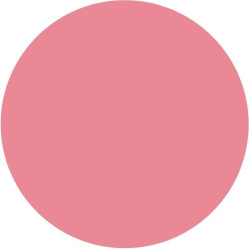 Lõi phấn má Cao Cấp Shiseido Maquillage True Cheek Refill 2g (PK332)