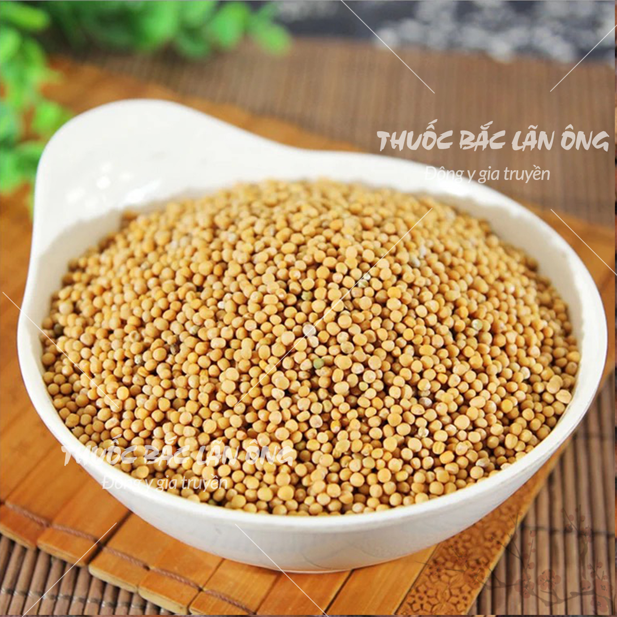 Bạch giới tử 100g (Hạt cải trắng, bổ phế, long đờm)