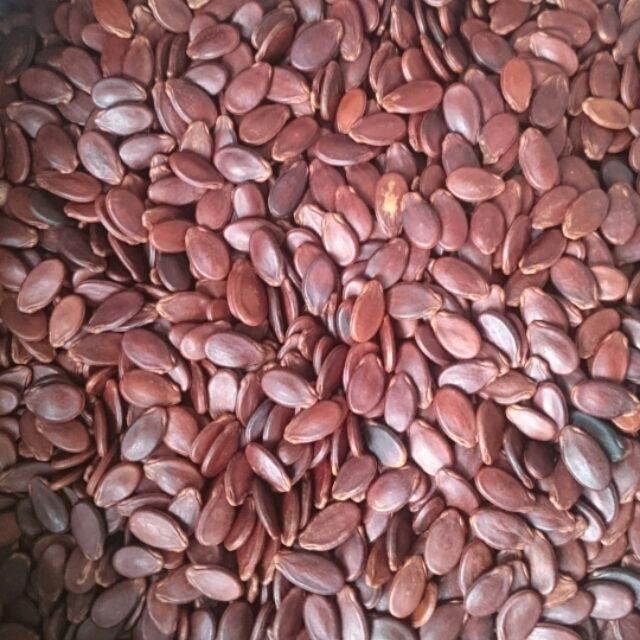 [FREESHIP MAX] HẠT DƯA KHÔNG MÀU 500G
