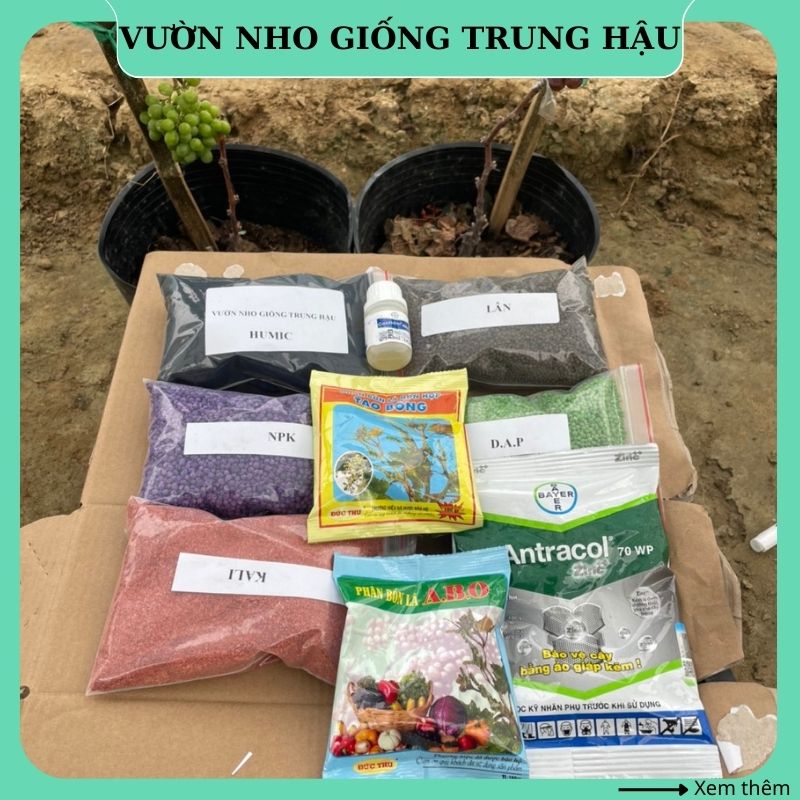 Phân bón cho cây nho combo 9 loại