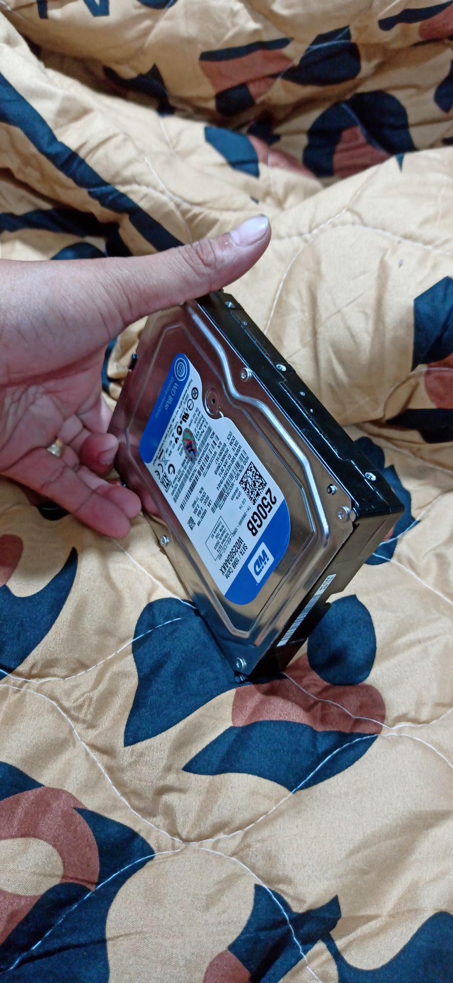 Ổ cứng HDD Seagate WD 250 GB tháo máy
