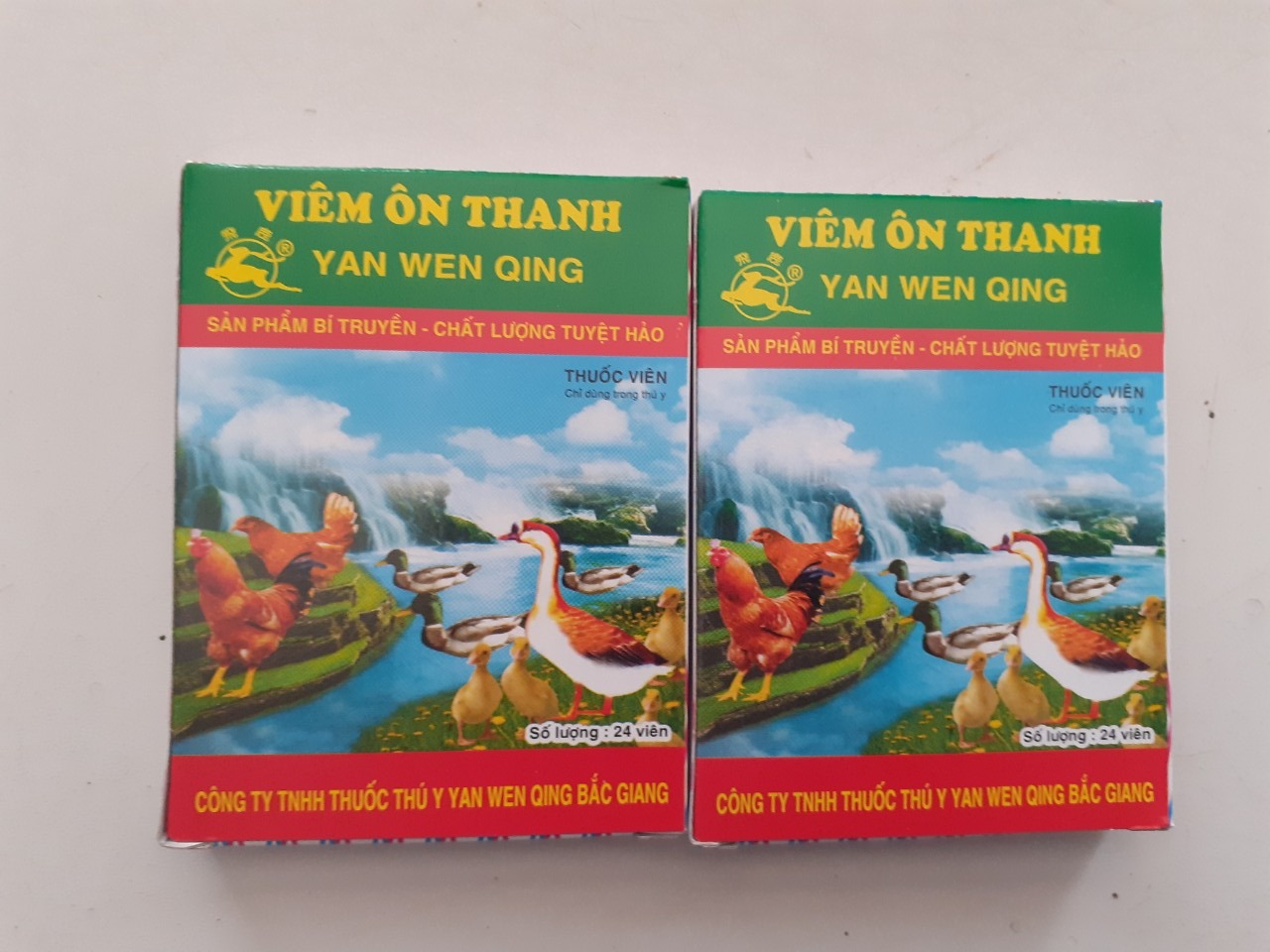Viêm Ôn Thanh - 1 Cây 25 vĩ