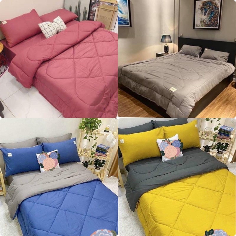 Bộ chăn phao trần bông dày êm và ga gối cotton tici phối màu trơn cao cấp