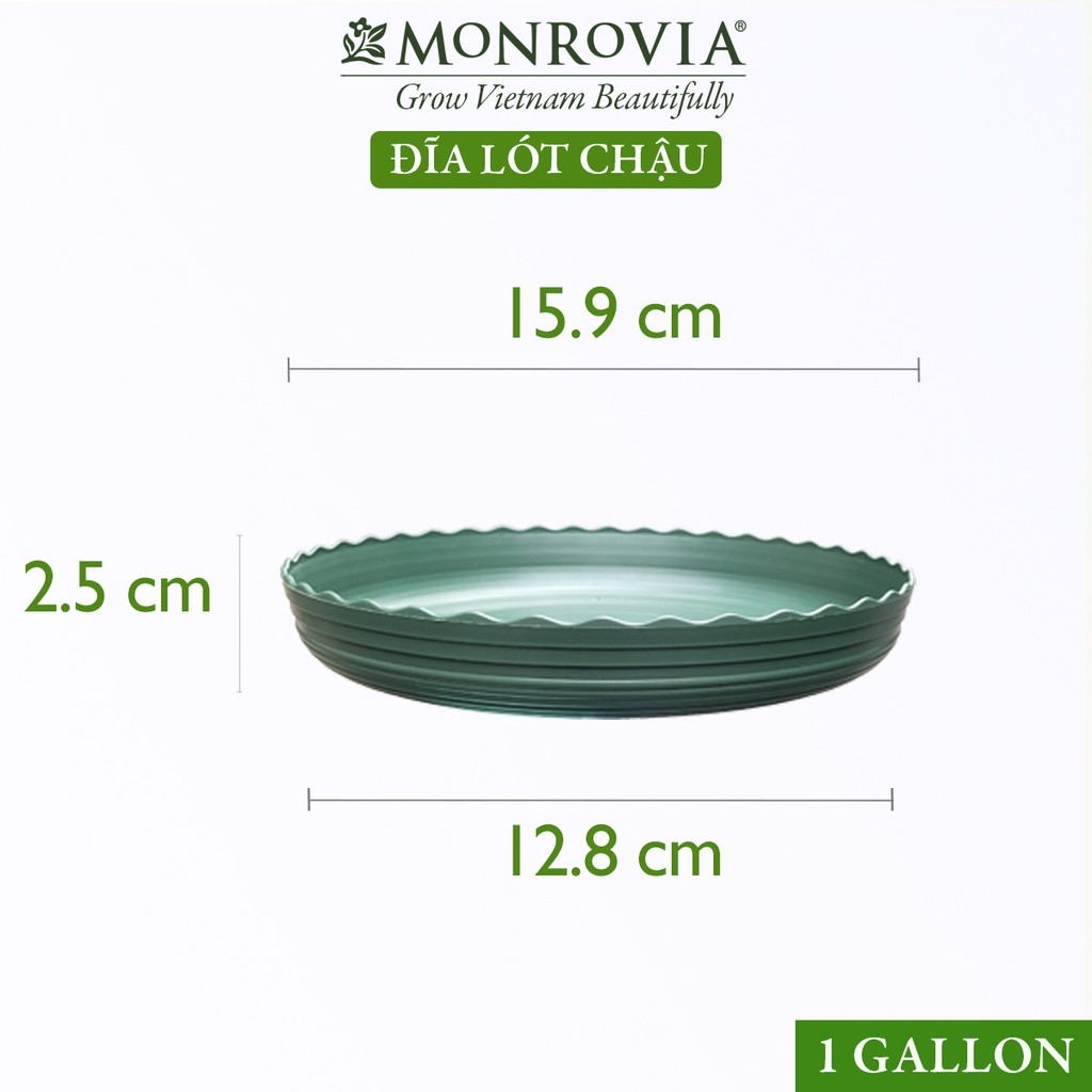 đĩa nhựa chậu Monrovia TQ