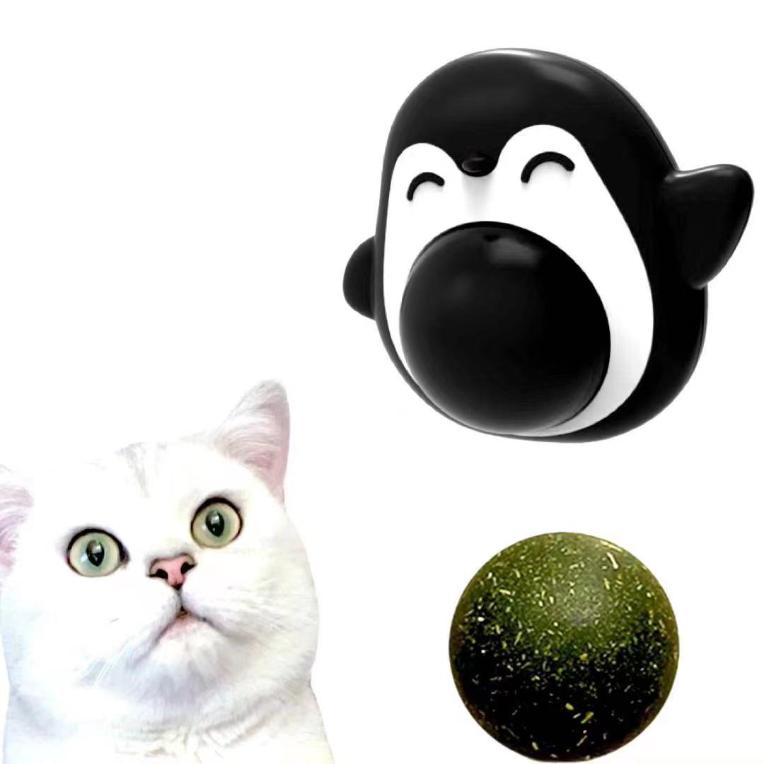Cỏ bạc hà mèo, catnip dán tường