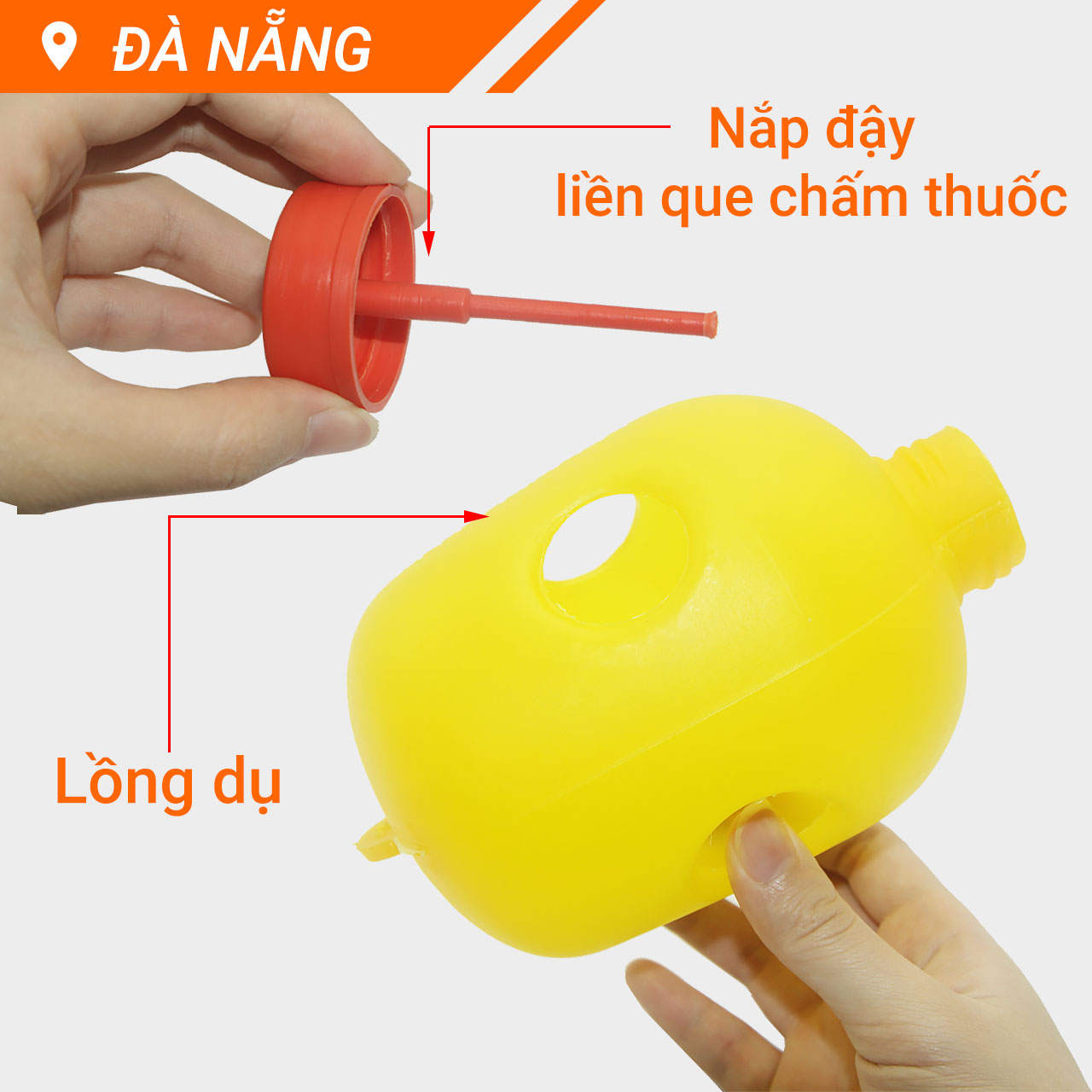 Lồng bẫy ruồi