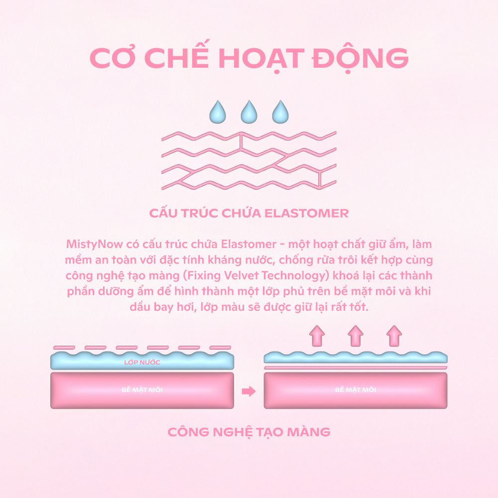 Combo 2 Son Tint Nước Mịn Lì Thuần Chay SUGARPLUM MistyNow Blurring Tint (2 x 3.8g)