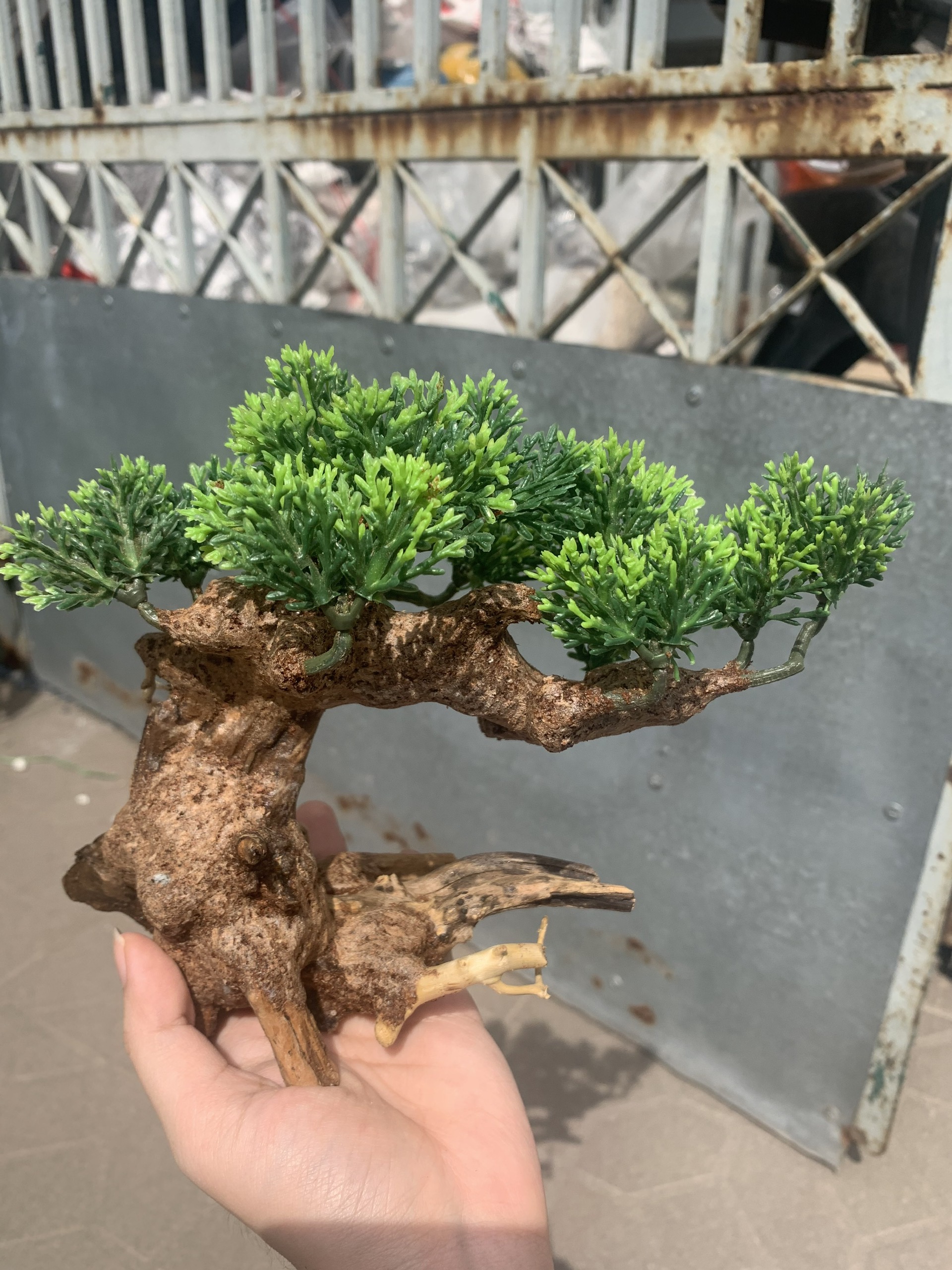 Cây Bonsai Cao Cấp Trang Trí Hồ Cá Thuỷ Sinh .
