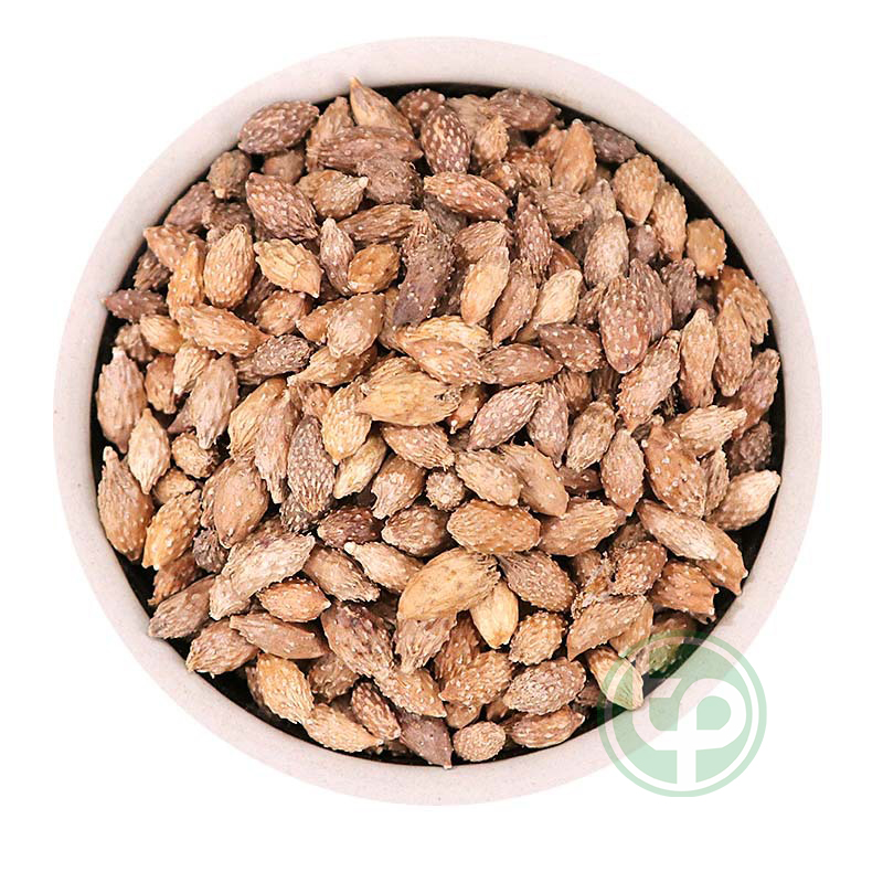 [Túi lớn loại 1kg] Ké đầu ngựa khô - Thảo Dược Tấn Phát - hỗ trợ cải thiện sức khoẻ giúp giảm đau răng và nấm tóc cực kỳ hiệu quả