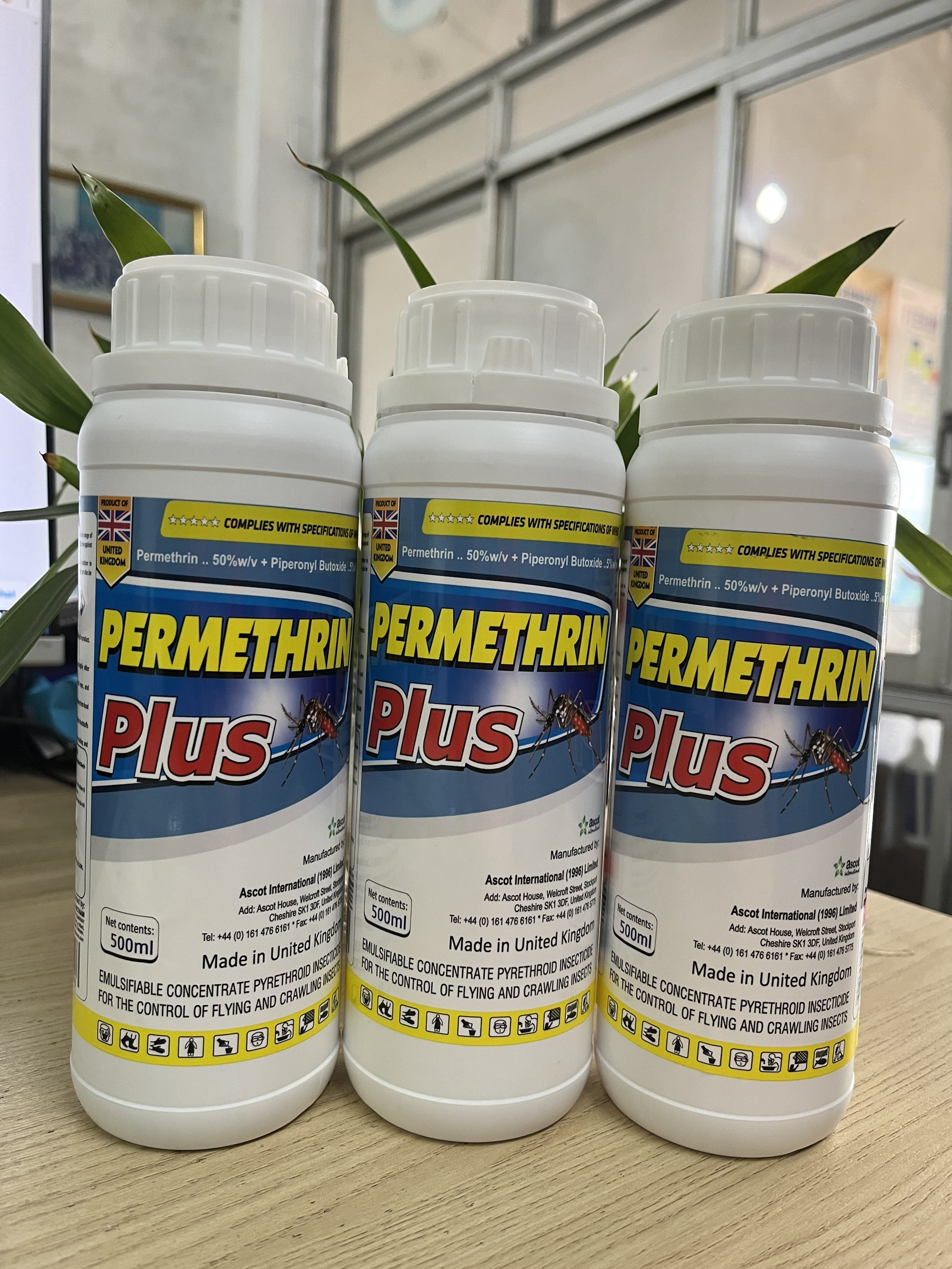 Thuốc diệt muỗi Anh Quốc Permethrin Plus 50EC chai 500ml