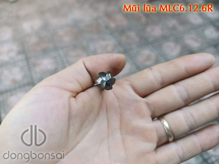 Mũi lũa cầu trục 6li MLC6.12.6R