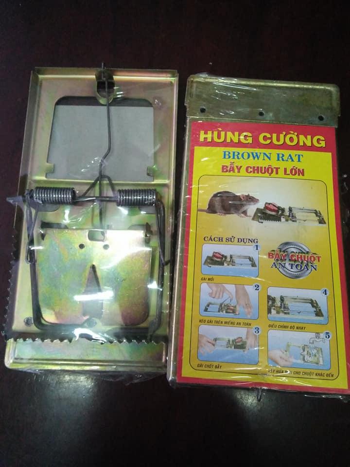 2 Cái Bẫy Sập Chuột Size Lớn 20x10 Hàng Thép Dày Chắc Chắn