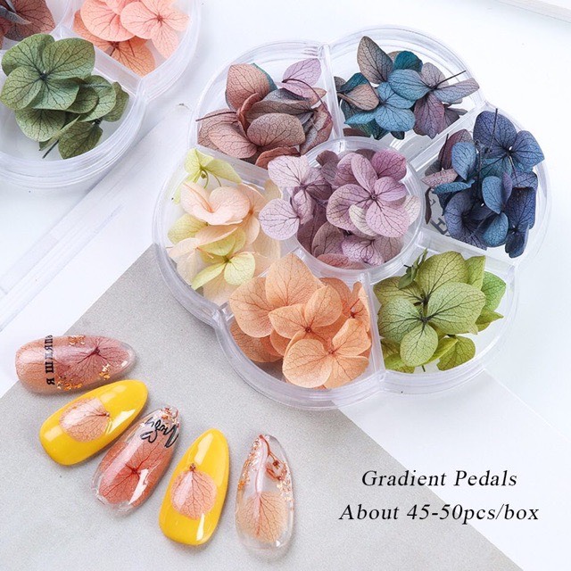 Hoa khô lụa trang trí móng, ẩn gel, đắp bột.