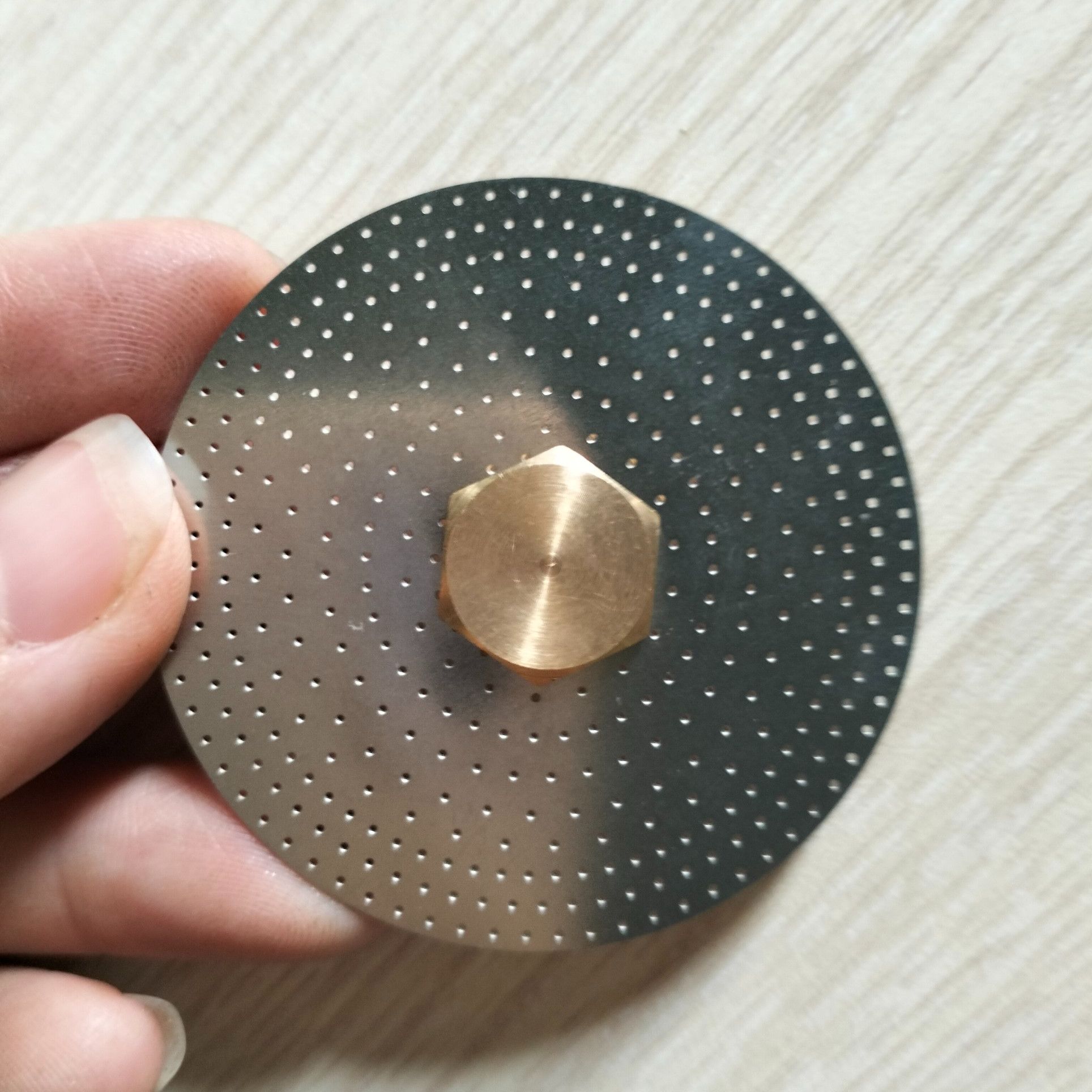 Lưới lọc họng pha (shower) máy pha cà phê MILESTO M19/20